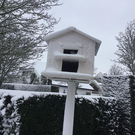 B&B Colombe Blanche Knokke-Heist Bagian luar foto