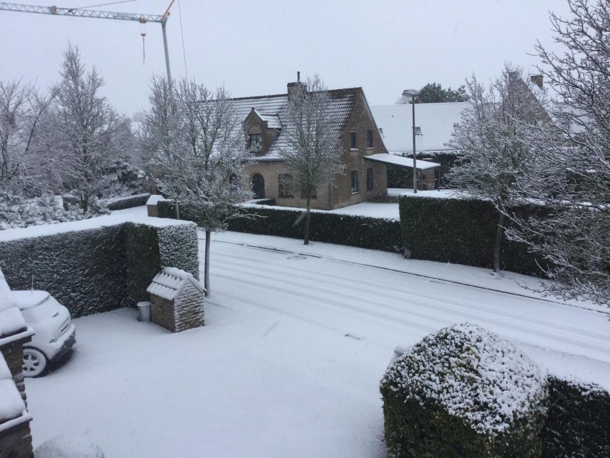 B&B Colombe Blanche Knokke-Heist Bagian luar foto